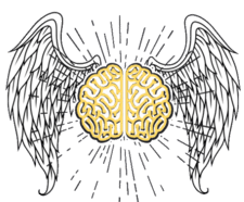 Modafinil & Nootropics